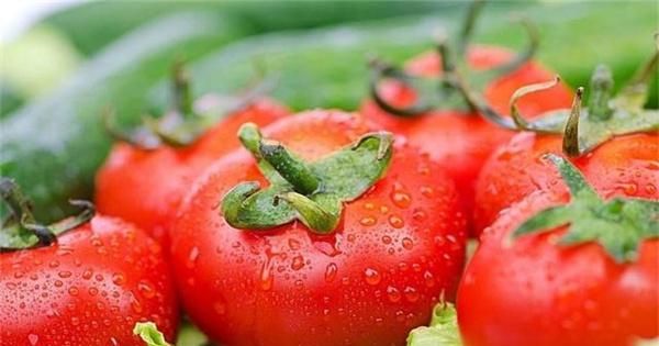 西红柿不仅可做蔬菜  还能当水果  其养生功效也不少  了解一下